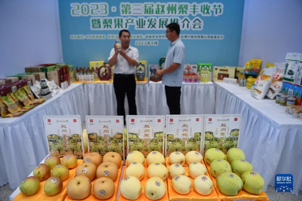 澳门正规十大博排名